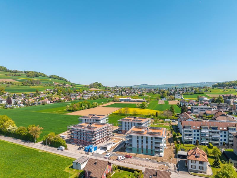 Appartement studio moderne à Reinach AG (7)