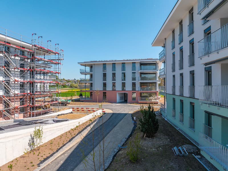 Appartement studio moderne à Reinach AG (8)
