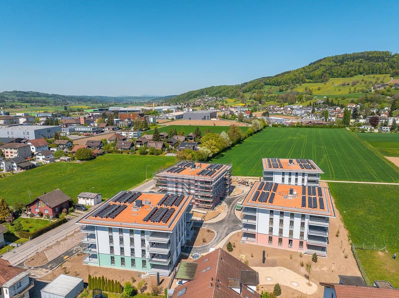 Appartement studio moderne à Reinach AG (9)