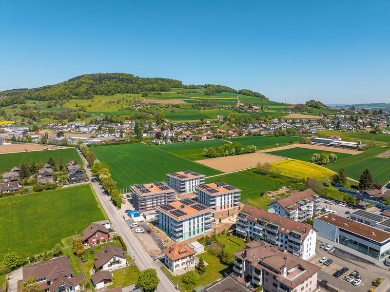 Top moderne Neubauwohnung in der sandgass.ch (2)