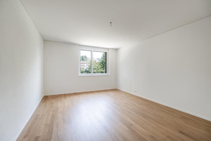 Special - 1 room free! (11)