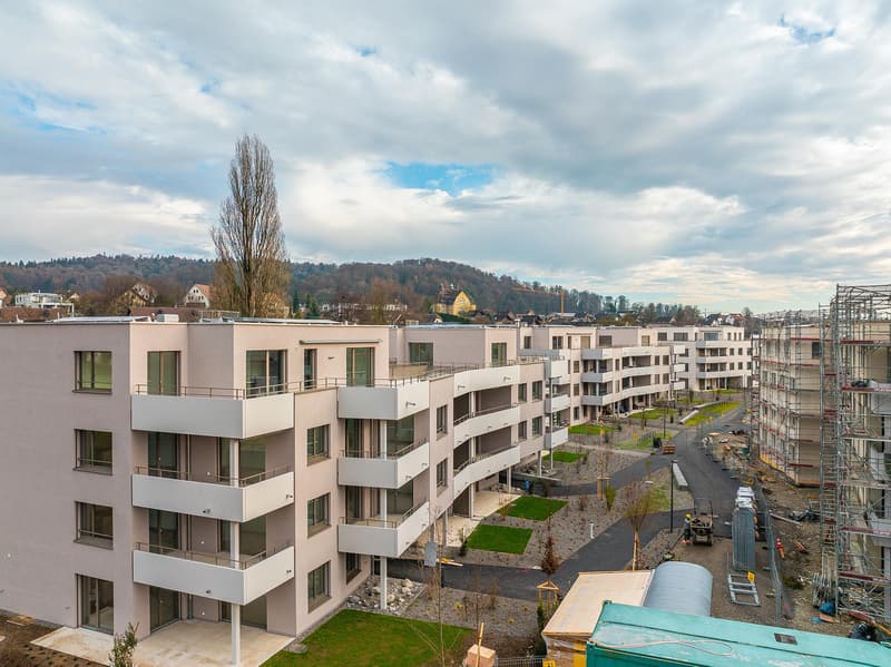 Special - 1 room free! (13)