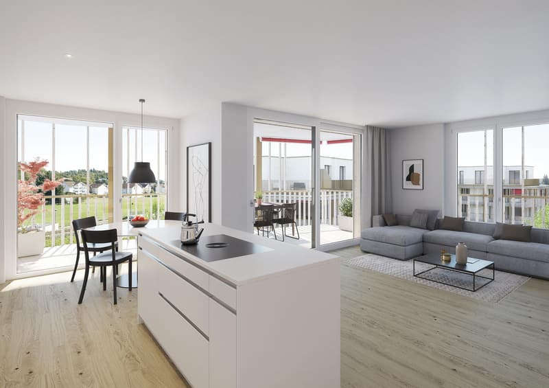 Newly built apartments in beautiful Küngoldingen! (9)