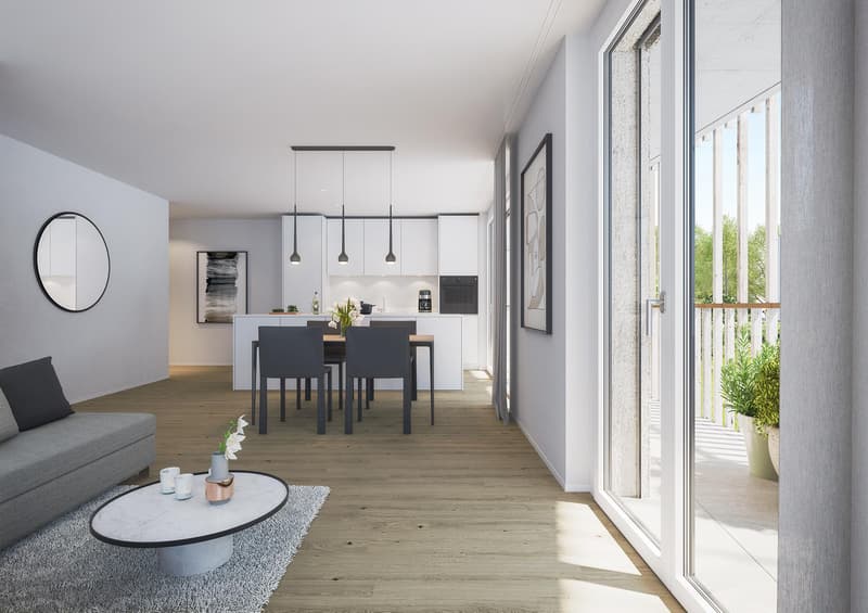 Newly built apartments in beautiful Küngoldingen! (8)
