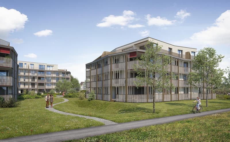 Newly built apartments in beautiful Küngoldingen! (11)