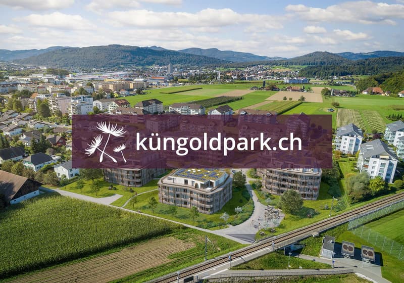 Newly built apartments in beautiful Küngoldingen! (1)