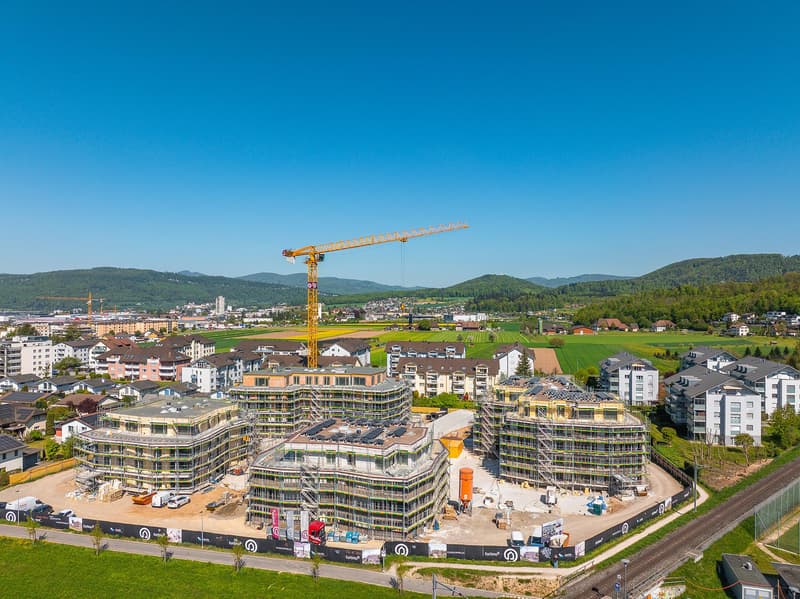 Newly built apartments in beautiful Küngoldingen! (3)