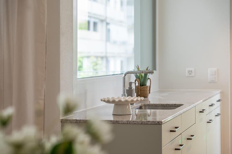 Modern studio apartment in Reinach AG (1)