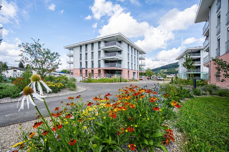 Top moderne Neubauwohnung in der sandgass.ch (1)