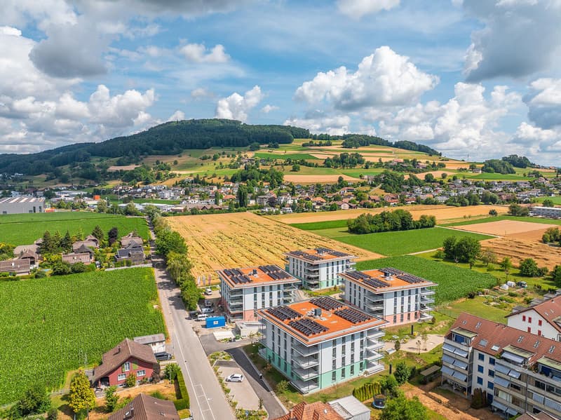Espace de stockage facilement accessible à Reinach AG (6)