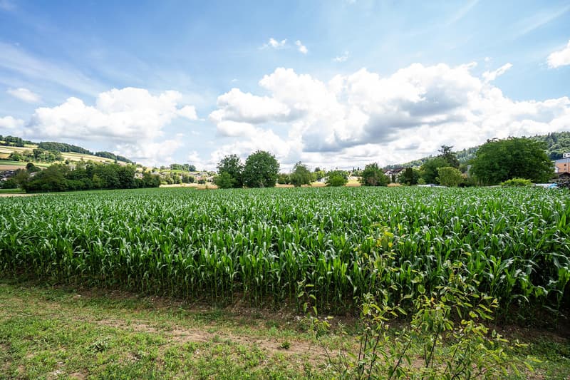 Espace de stockage facilement accessible à Reinach AG (7)