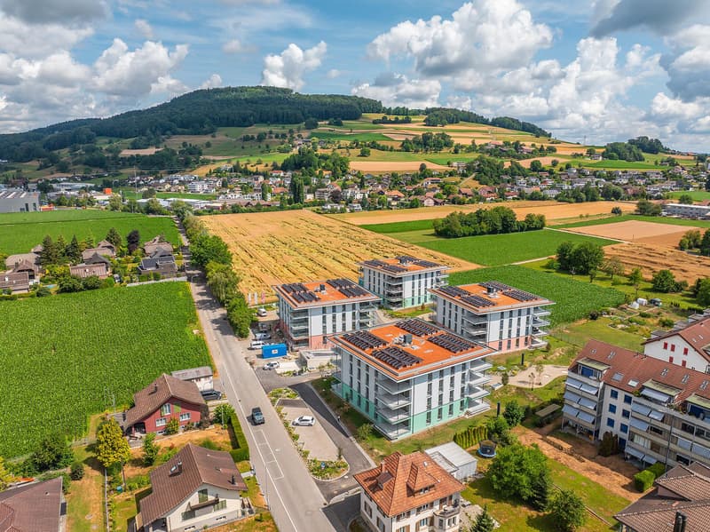 Gut begehbarer Lagerraum in Reinach AG (6)