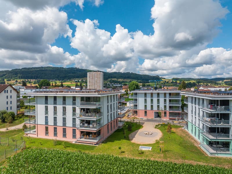 2.5 Zimmerwohnung in Reinach AG (10)
