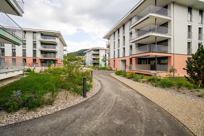 2.5 Zimmerwohnung in Reinach AG (11)