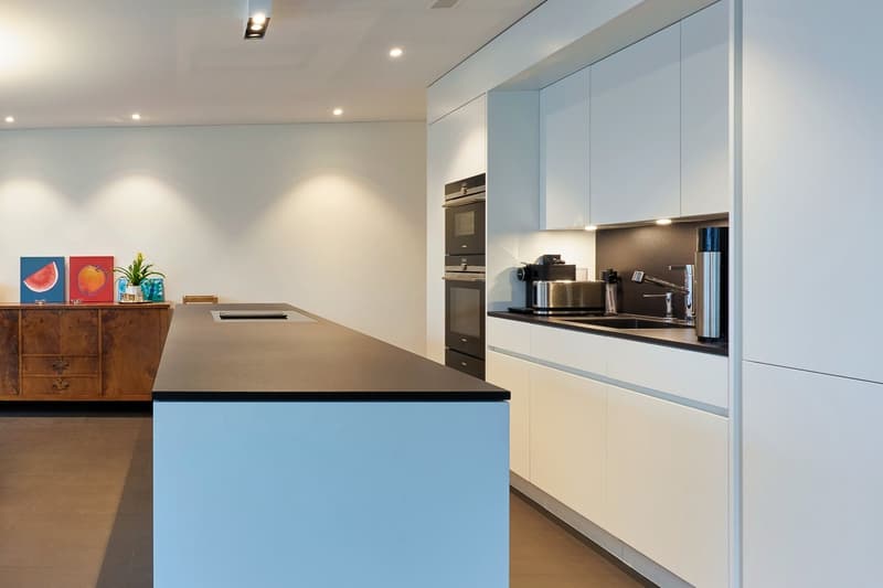 Modern kitchen, white cabinets, black counter, integrated dishwasher, silver appliances, wood floor, built-in oven, stainless steel sink, silver faucet