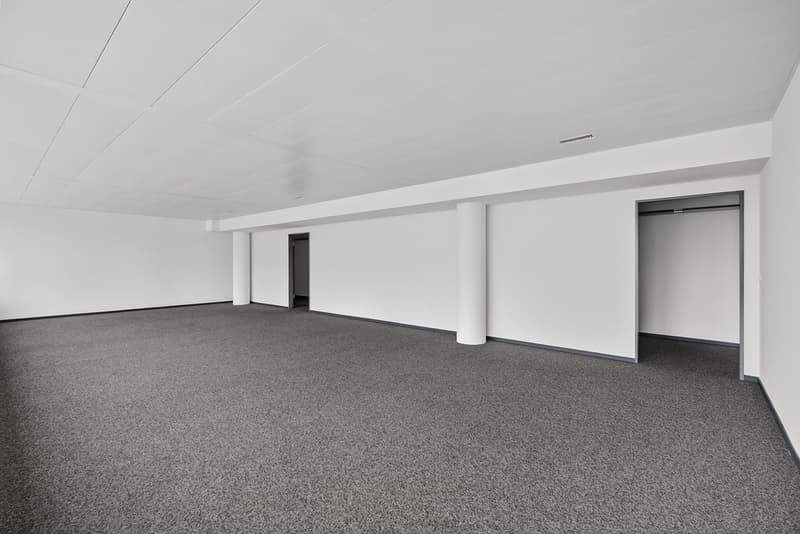 Typ 5