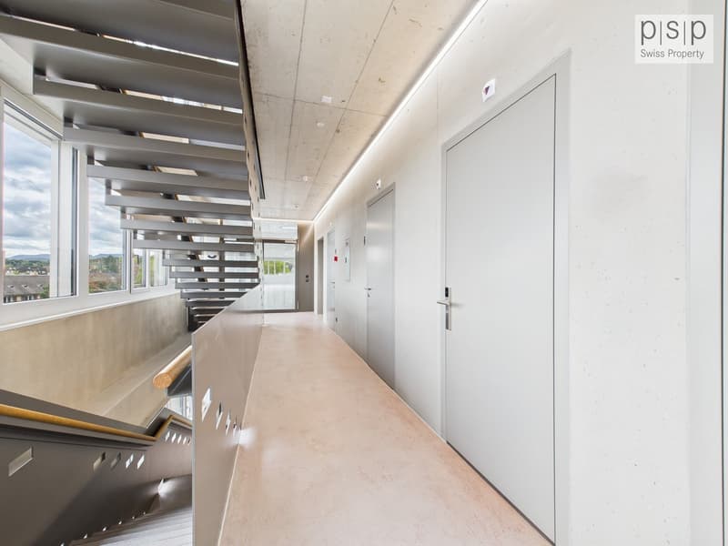 Concrete wall, steel staircase, large windows, concrete floor, hallway