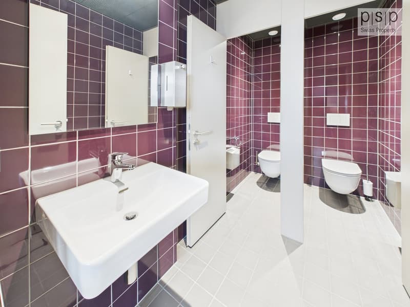 white tiles, purple tiles, white sink, white toilets, modern design