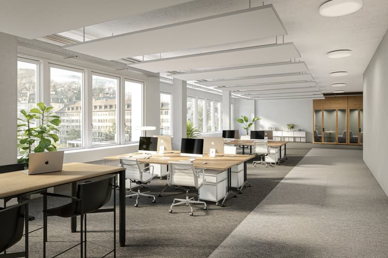 Open office space, desks with computers, carpeted floor, large windows, potted plants