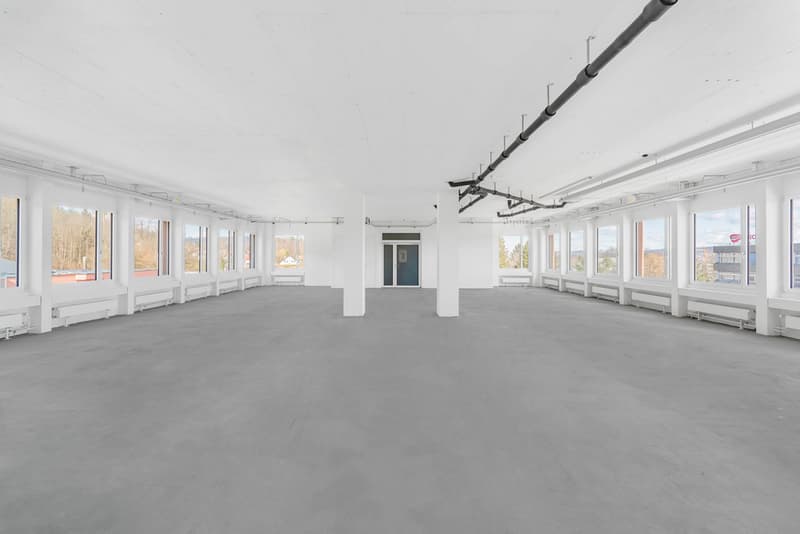 Arbeiten an bestens erschlossener Lage am Stadtrand von Zürich (3)