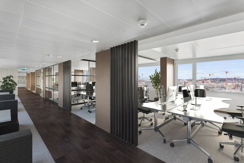 modern office space, white walls, wooden floors, glass partitions, large windows, office desks, chairs, plants
