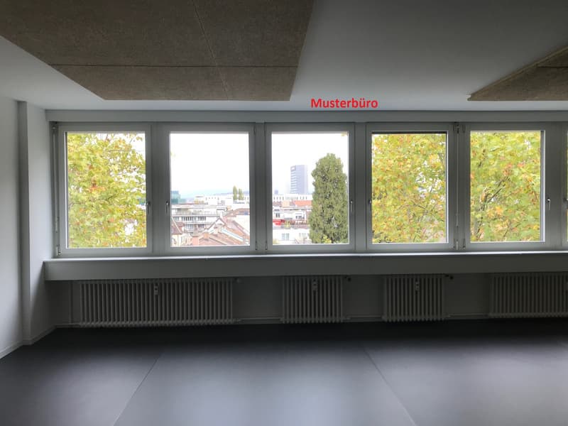 Musterbüro Ansicht 3