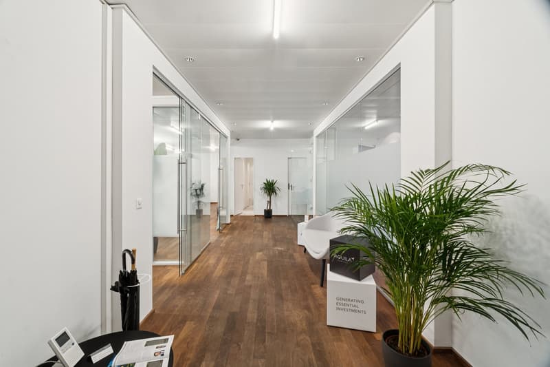 Votre nouveau domicile d'entreprise au Paradeplatz (6)