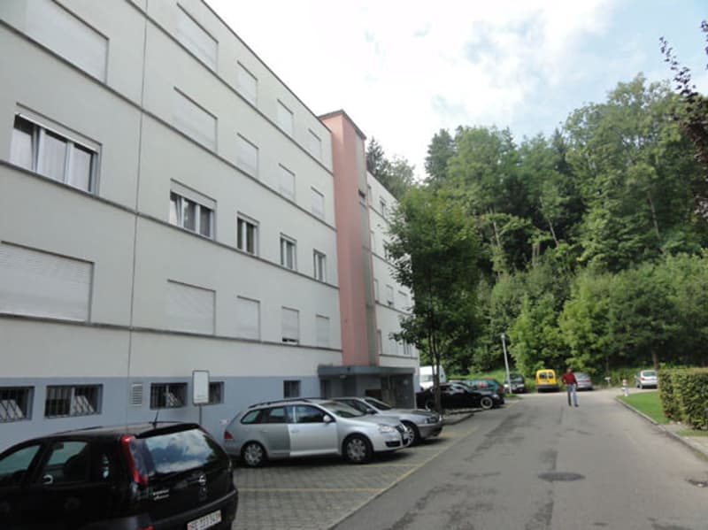 6.5 Z geräumige Wohnung in Langenthal f. 2030.- (1)