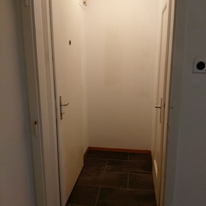 Zu vermieten renovierte 2-Zimmerwohnung in Herzogenbuchsee (1)
