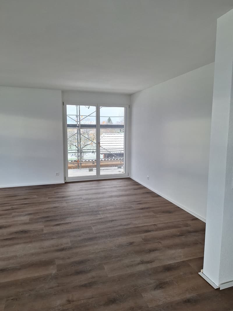 Neue 3.5-Zimmer-Wohnung in Dreifamilienhaus (Erstbezug) (2)