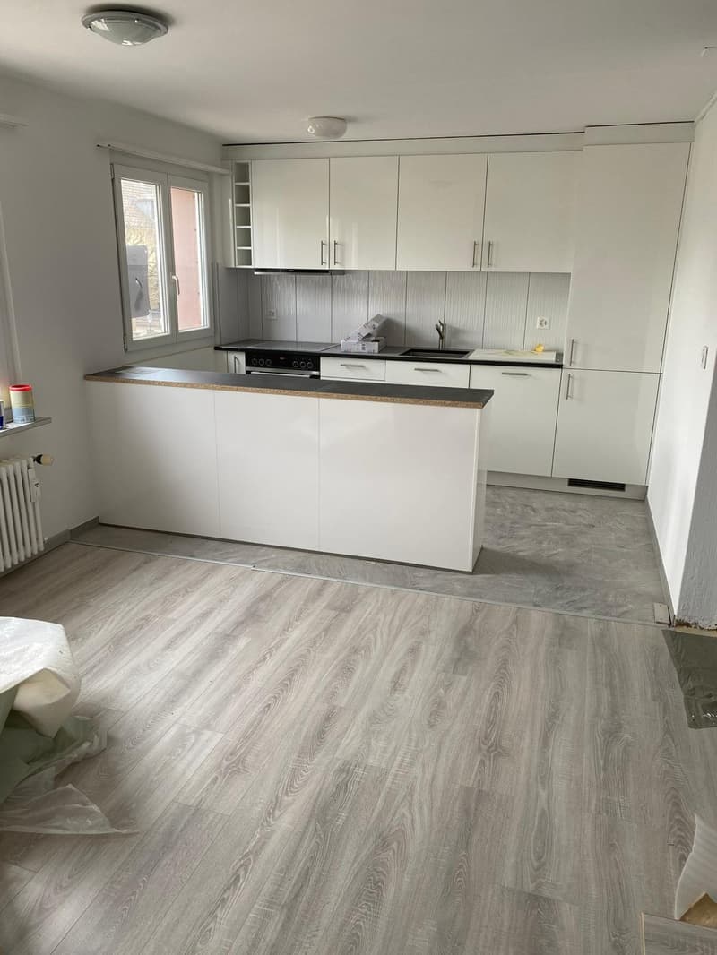 Zu Vermieten 4 ½ renovierte Zimmer Wohnung, Leuggern AG (1)