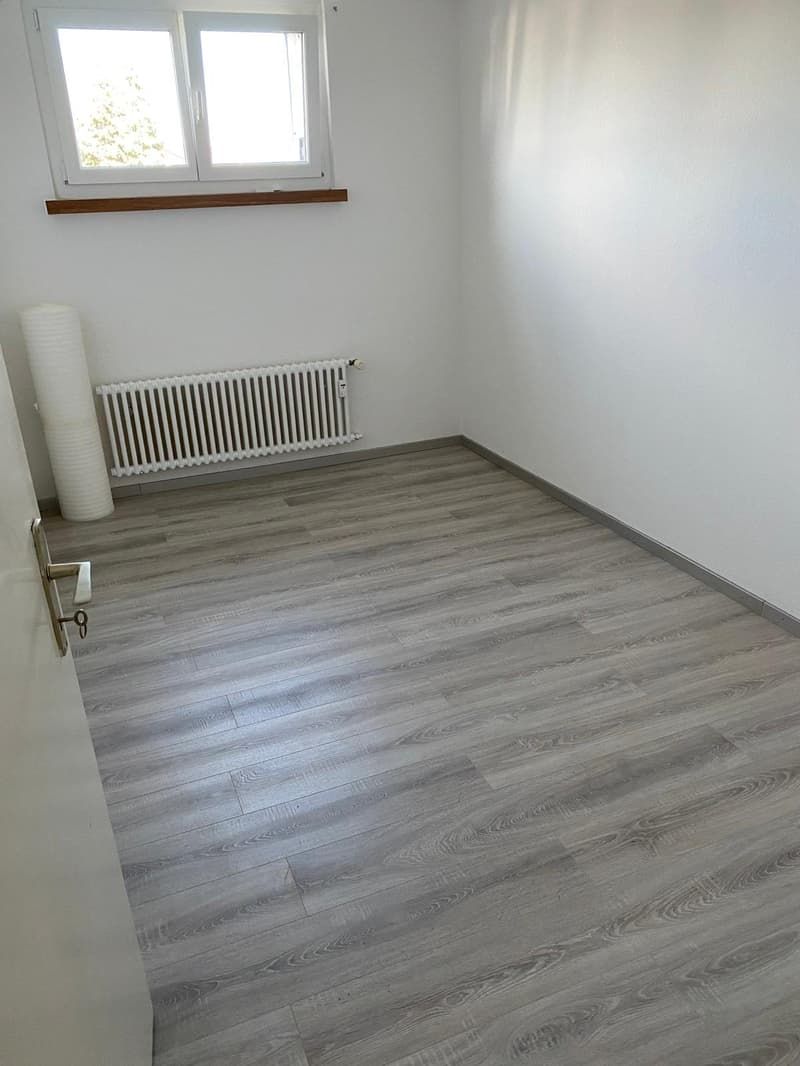 Zu Vermieten 4 ½ renovierte Zimmer Wohnung, Leuggern AG (2)