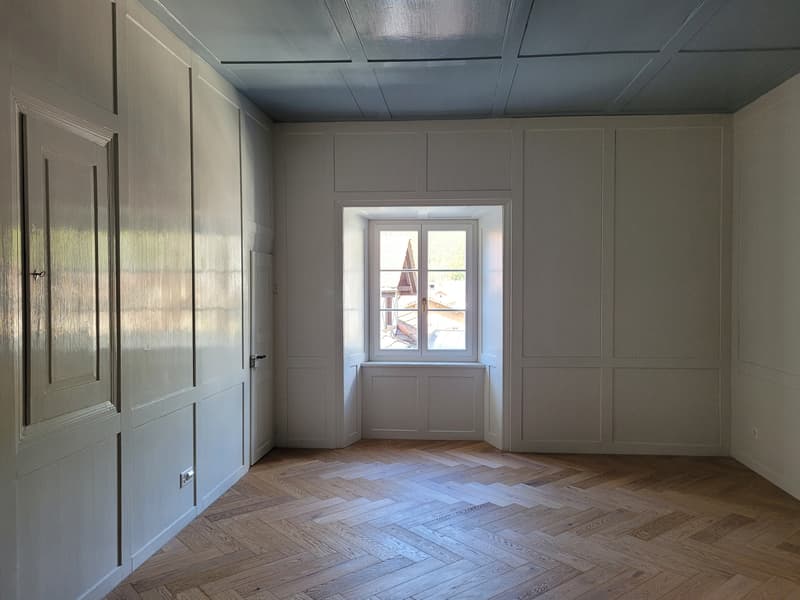 Frisch renovierte 7 Zimmer Wohnung mit speziellem Flair (5)