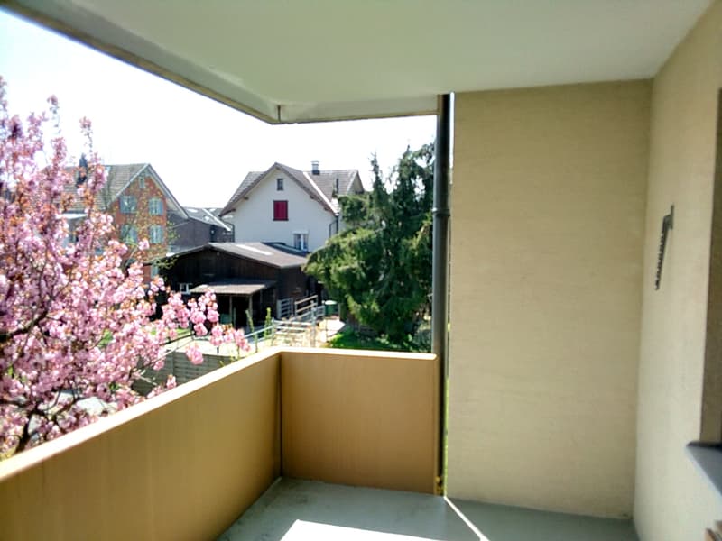 Helle, freundliche Wohnung mit Balkon an ruhiger Lage (3)