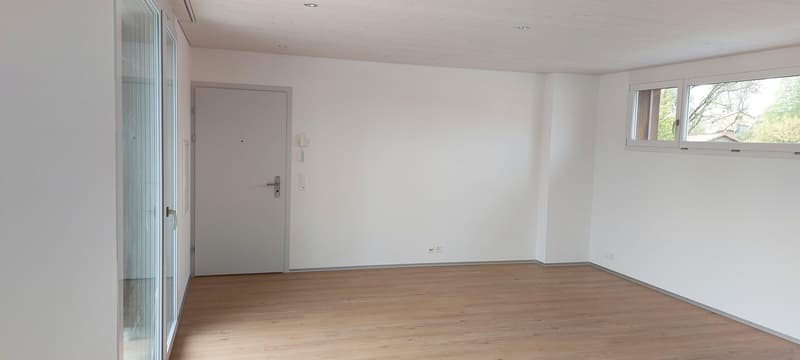 Erstvermietung 2 ½ Zimmer Attika Wohnung 110 m2 (2)