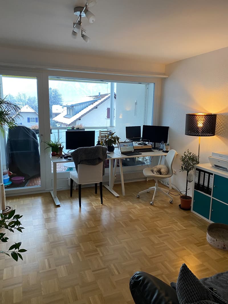 Schöne Wohnung in Thun mit Sich auf den Niessen (5)