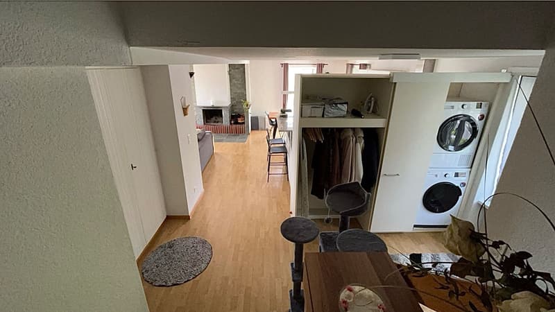 Traumhafte 1.5 - Zimmer Wohnung mit Top-Aussicht (2)