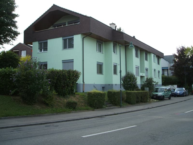 5 1/2 Zimmer Dachwohnung in Therwil (1)