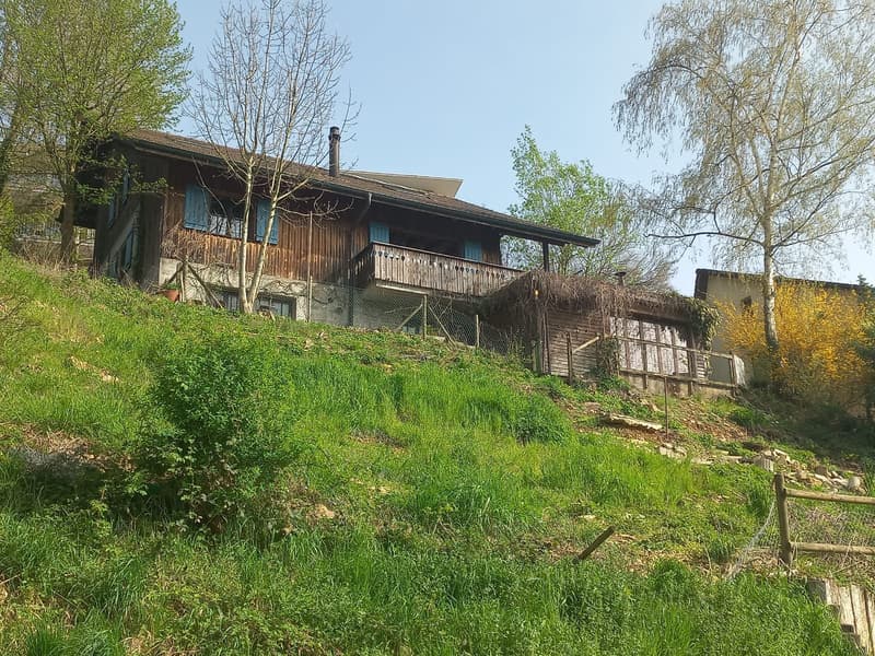 Zwei Familienhaus an idylischer Lage auf 2.5 Aren Bauland. (3)