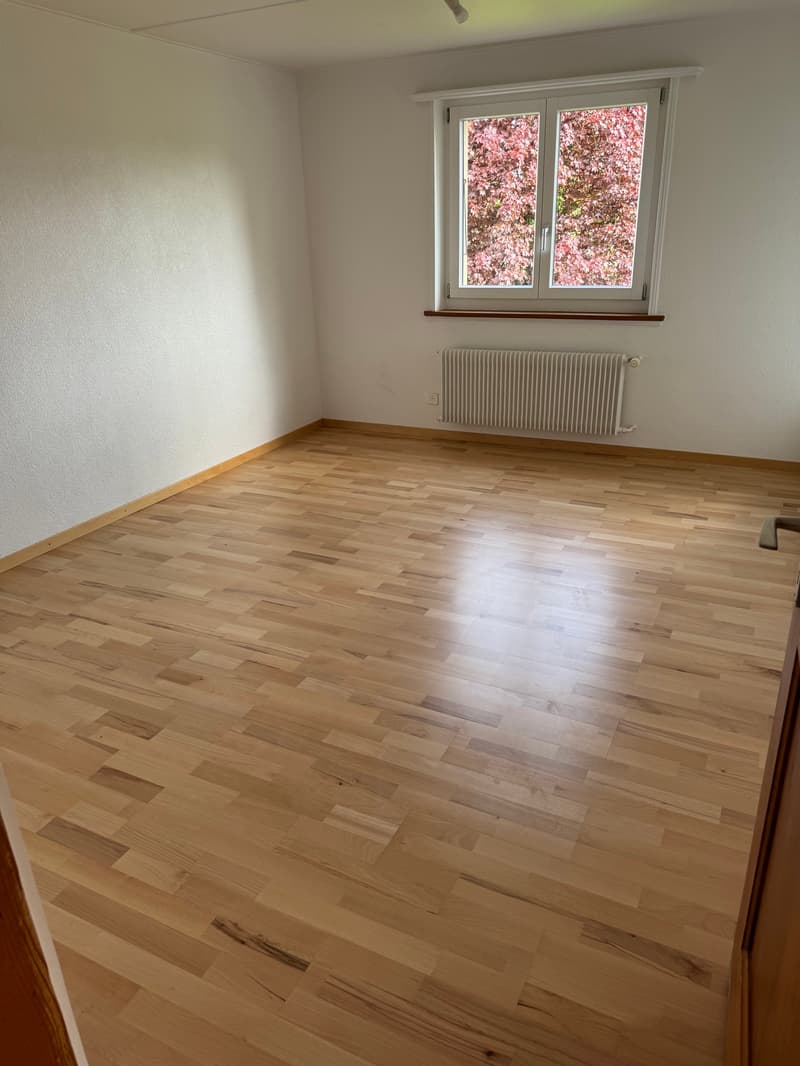 Neu renovierte 3 Zimmer Wohnung in Aarwangen (5)