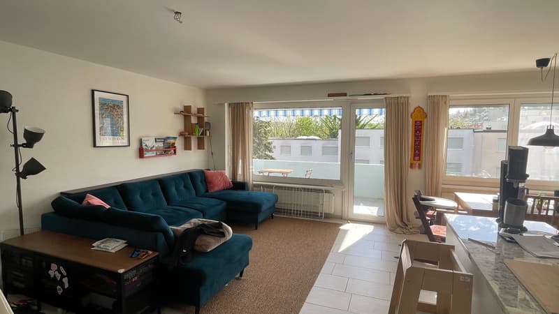 3.5-Zimmer-Wohnung  in Mehrfamilienhauses in Rudolfstetten. (2)