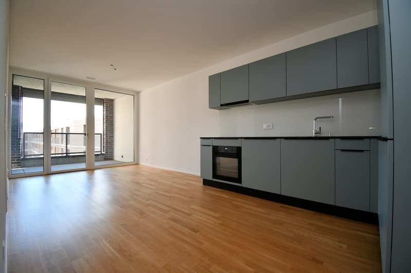 2.5 Zimmer-Wohnung in Bern mieten (1)