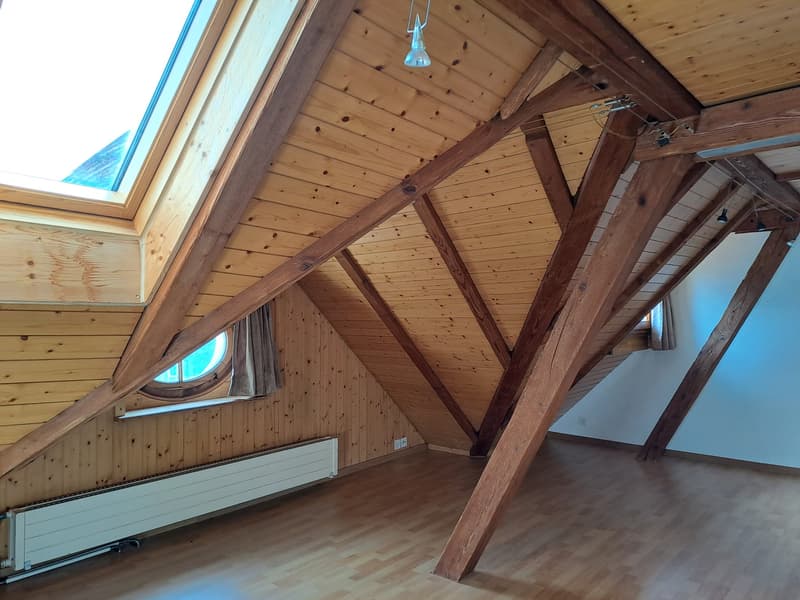 Renovierte gemütliche Dachwohnung (1)