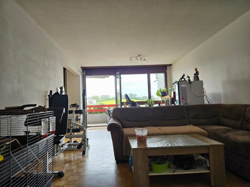 3.5 Zimmer Wohnung in Schmitten (FR) (1)