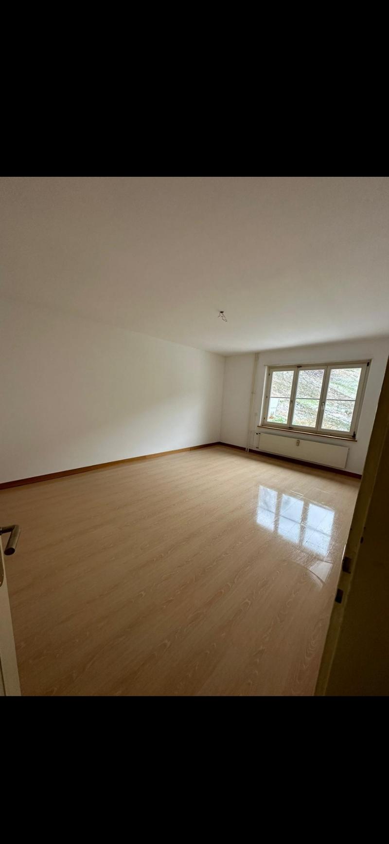 2 Zimmer Wohnung in Waldenburg BL (5)