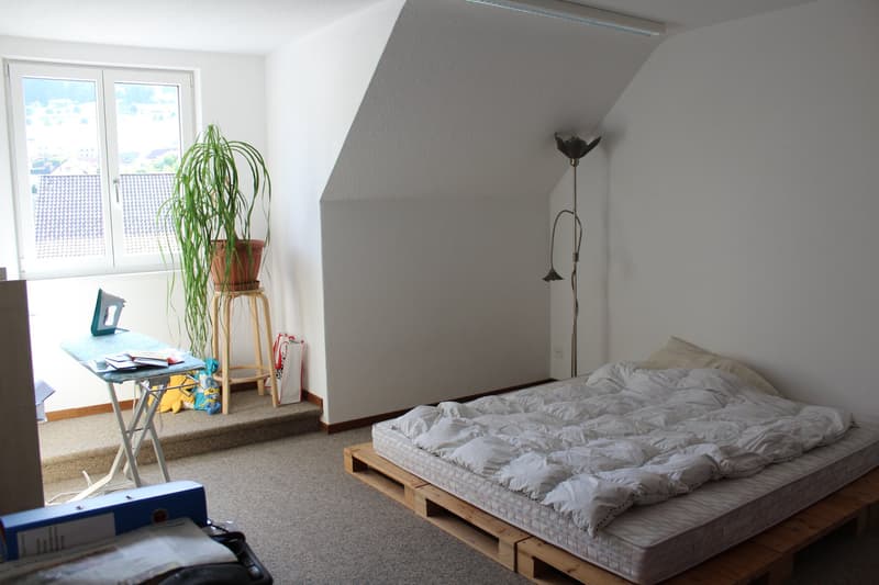Wohnen wie im EFH, 5½ Zimmer Maisonette-Wohnung (5)