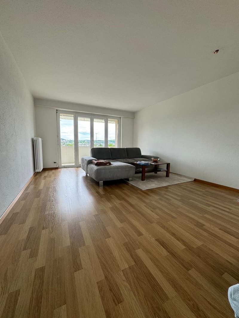 Gemütliche 2 Zimmer Wohnung in Zofingen (2)