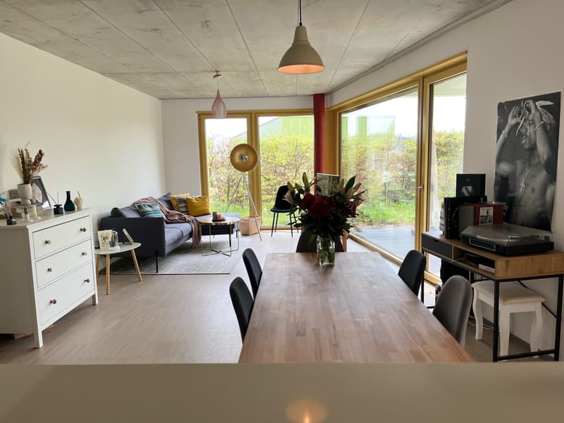 Befristete Wohnung in Winterthur (1)