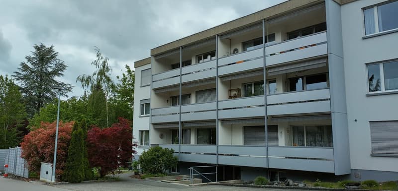4½-Zimmer Wohnung Erstvermietung nach Umbau 2023/24 (1)
