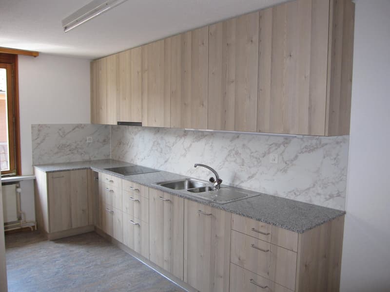 Renovierte, mit ganz neuer Wohn-Küche, schöne 1.5 Z-Wohnung (1)